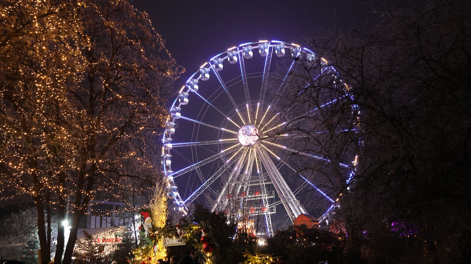 JJMéndezphoto - 7i1a6664-ts20260103190654113545.jpg