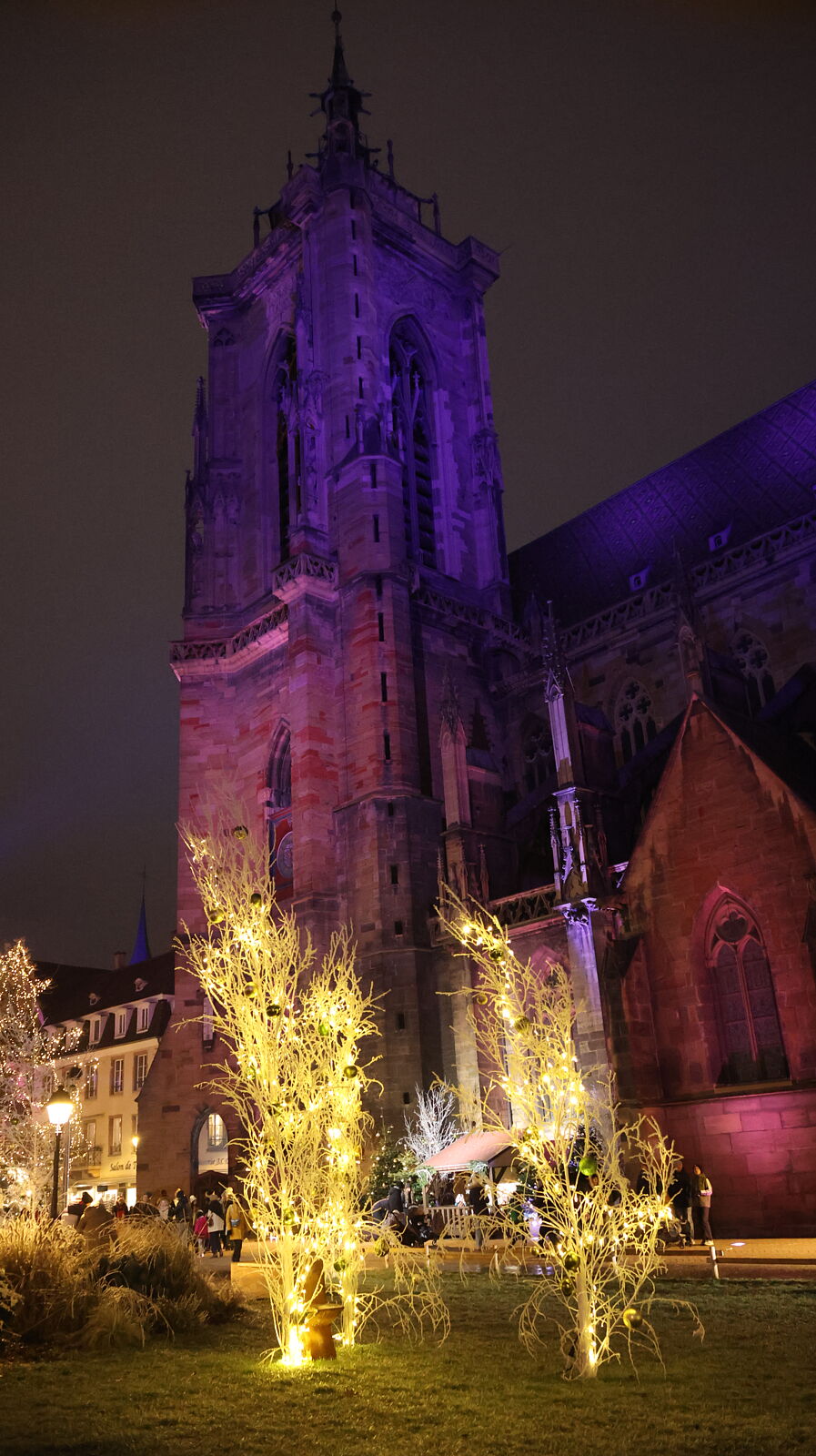 JJMéndezphoto - 7i1a6690-copia-copia-copia-ts20260103191233615616.jpg