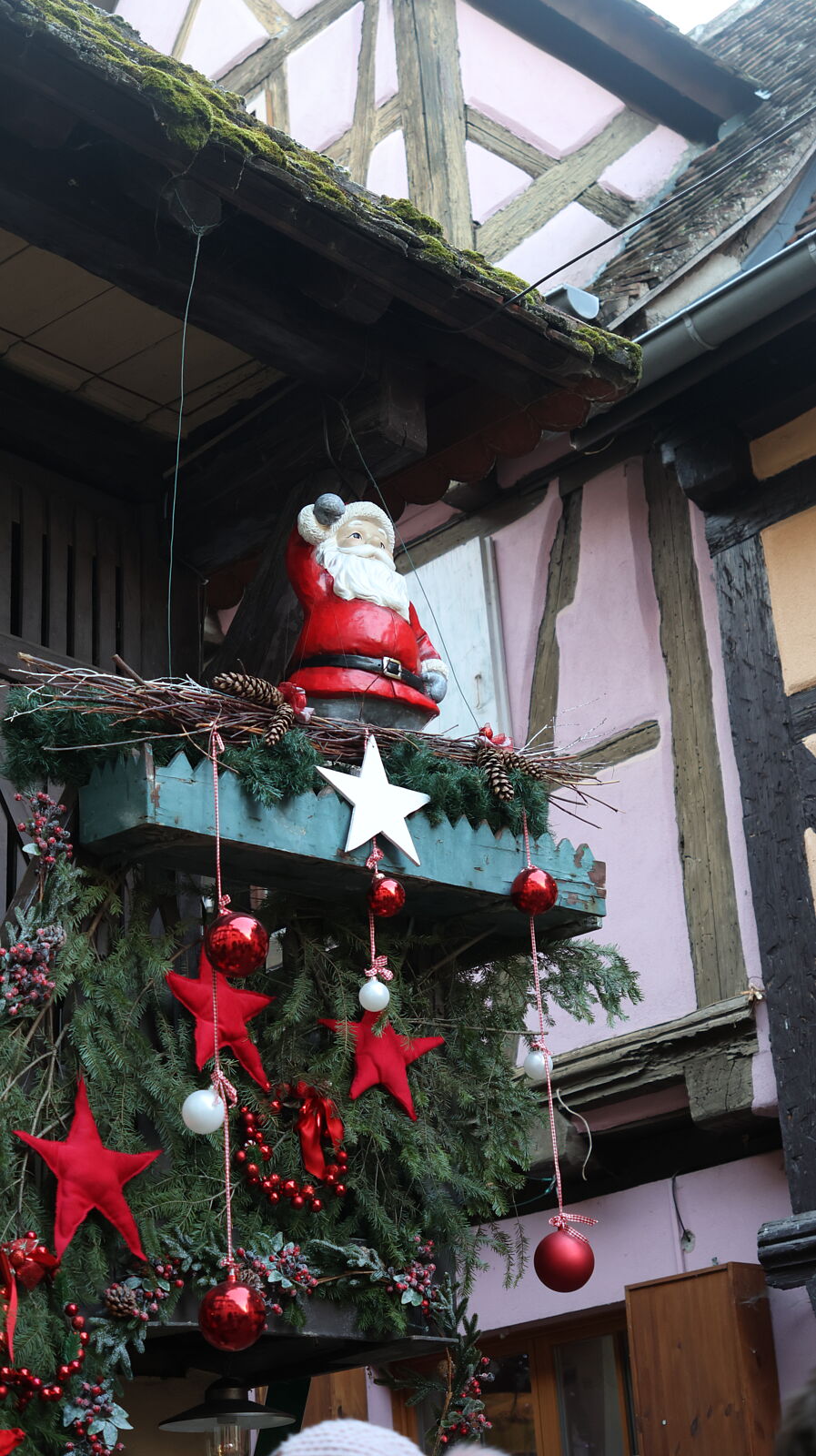 JJMéndezphoto - 7i1a6818-ts20260103190502913600.jpg