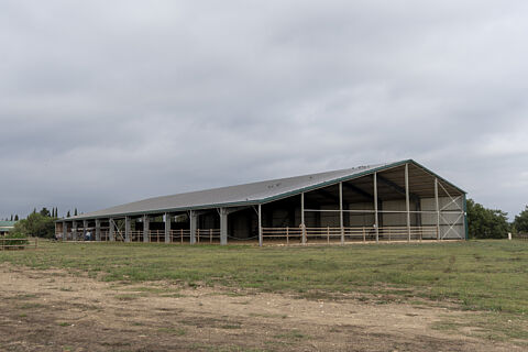 7 PRUEBA FINAL + DERBY - NRHA SPAIN 2025 - DOUBLE SIX FARM