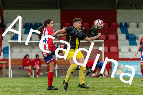 Navia C.F. - L