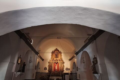 Miguel Angel Puig Aviño