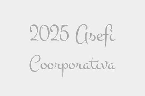 2025 Asefi Coorporativa