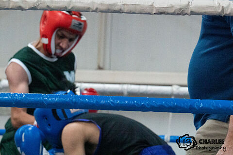 Box Regional Pelea1