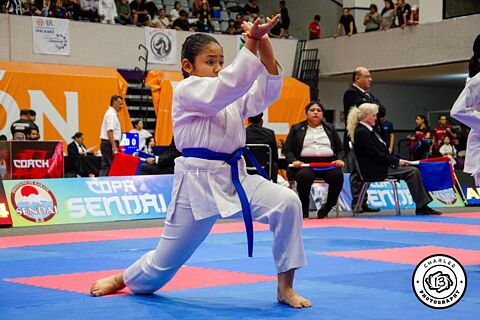 Copa Sendai 2025 Kata Parte2