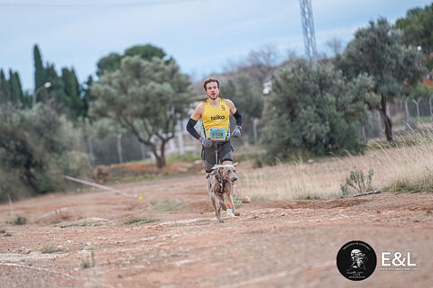 PRIMER PUNTO CARNICROSS