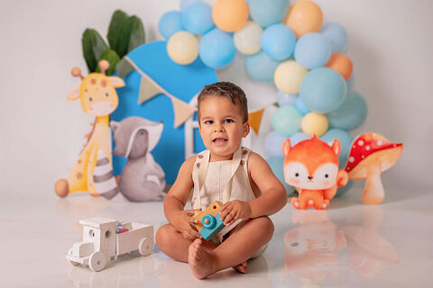 Smash Cake Noah