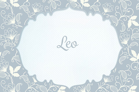 Leo 250728