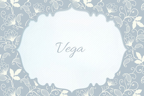 Vega 251213