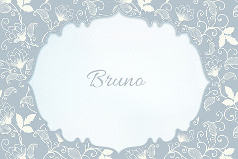 Bruno 260110