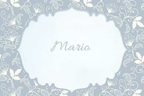 Mario 260227