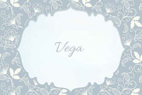 Vega 260307