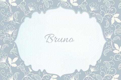 Bruno 260308