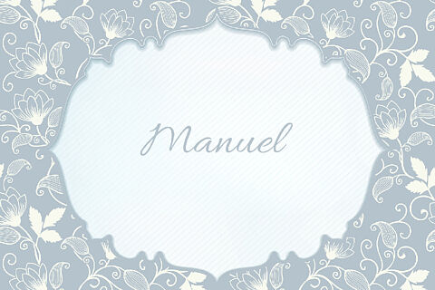 Manuel 260506
