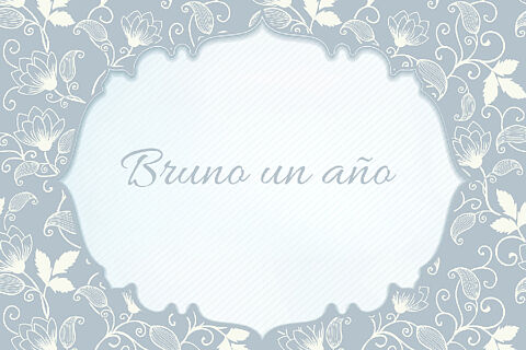 Bruno un año 260509
