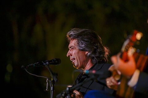 IX FESTIVAL FLAMENCO