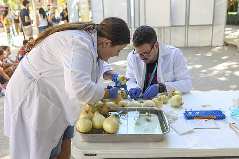 Noche Europea de los Investigadores 2026