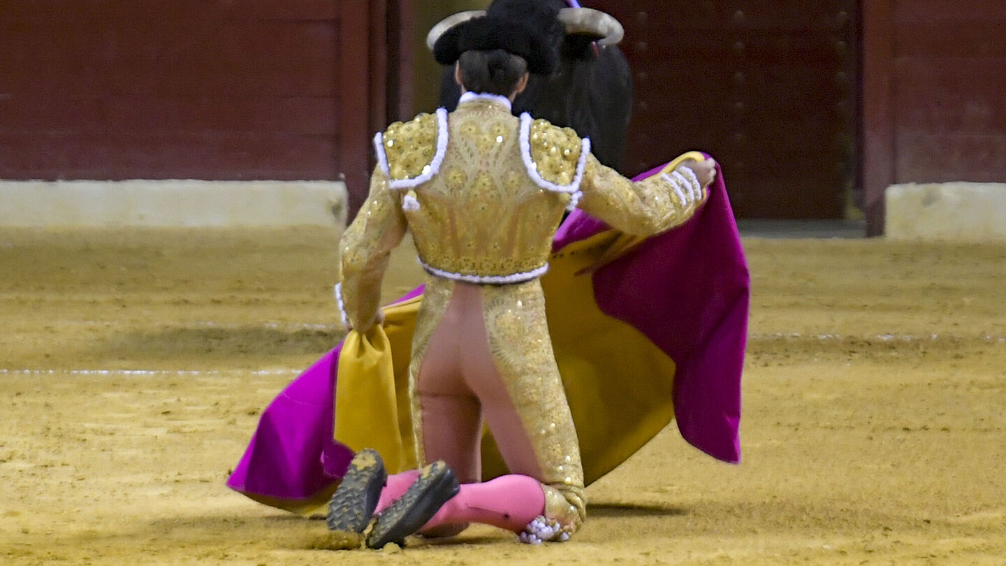 Toros en Atarfe