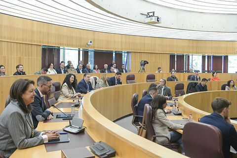 Pleno Extraordinario 