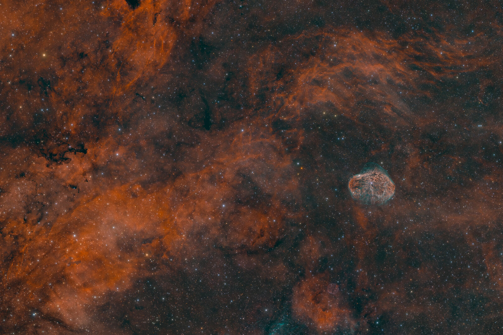 jesuscarrera.com - jesus-carrera-calendario-1-ts20250921215355817430.jpg