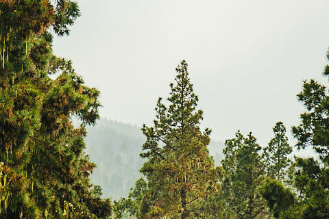 Reportaje fotográfico Reventón Trail 2026