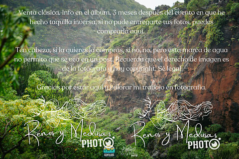 Acantilados del Norte 2025, (disponible hasta marzo)