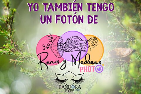 Compra tus chapas favs