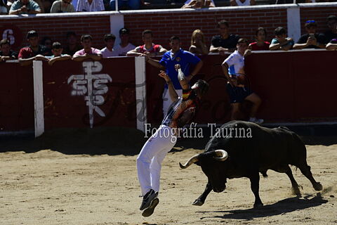 CAPEAS SANSE 2025 FIESTAS AGOSTO