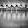 Arquitectura