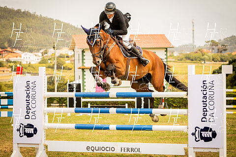 1.35, 1.30 m y Robados