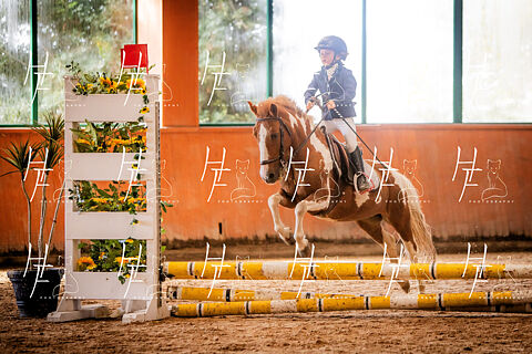 0.30M, 0.50M & Robados