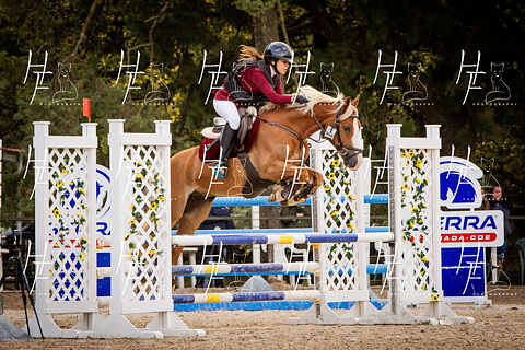 CAMPEONATO & COPA DE PONIS