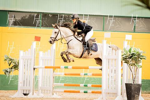 CAMPEONATO & COPA DE PONIS