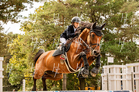 INFANTILES & ALEVINES 