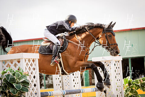 INFANTILES & ALEVINES