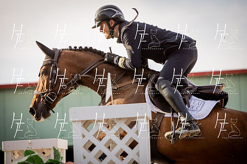 ADULTOS & MEDALLAS POTROS