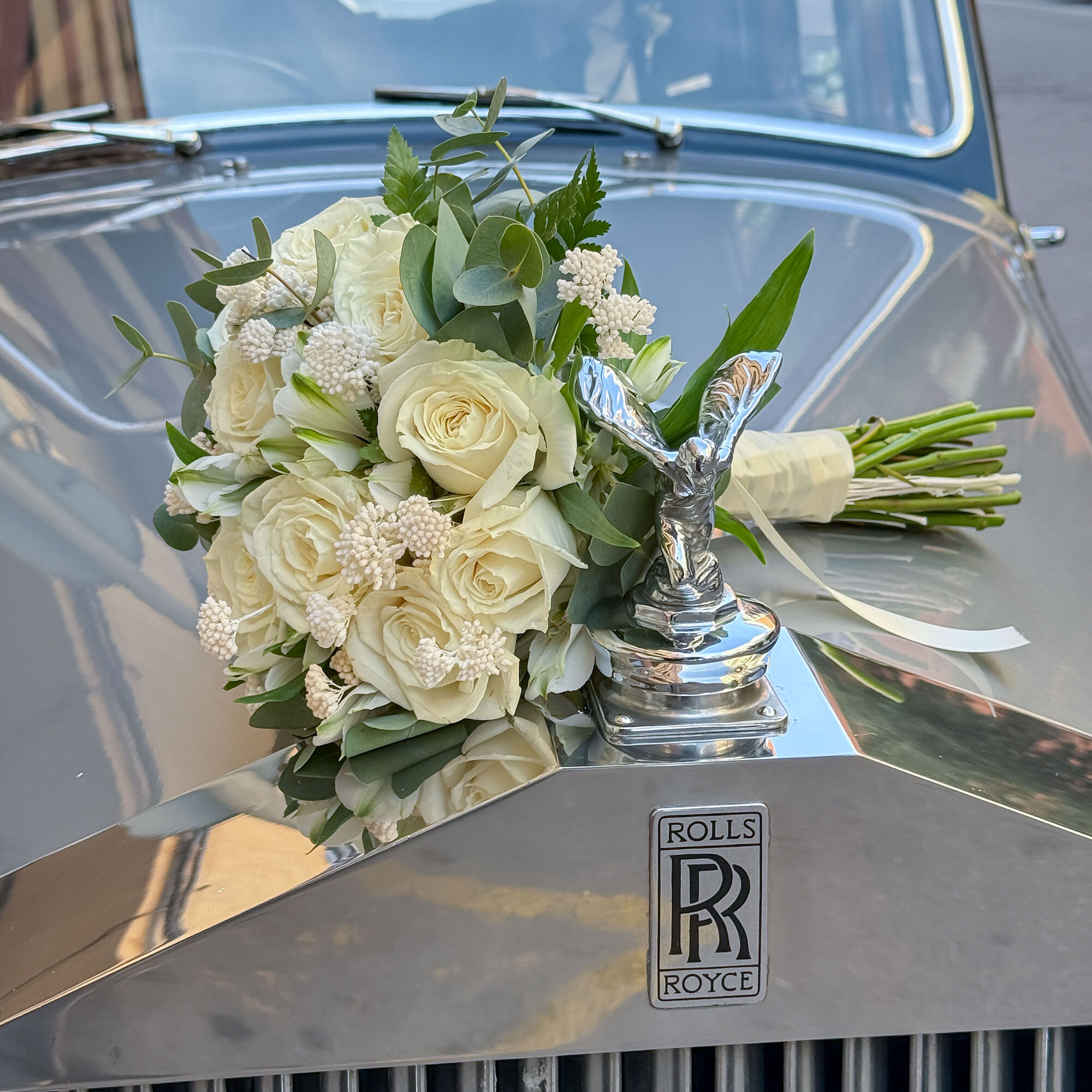 ESTUDIOGAMA2025-05-17-1007