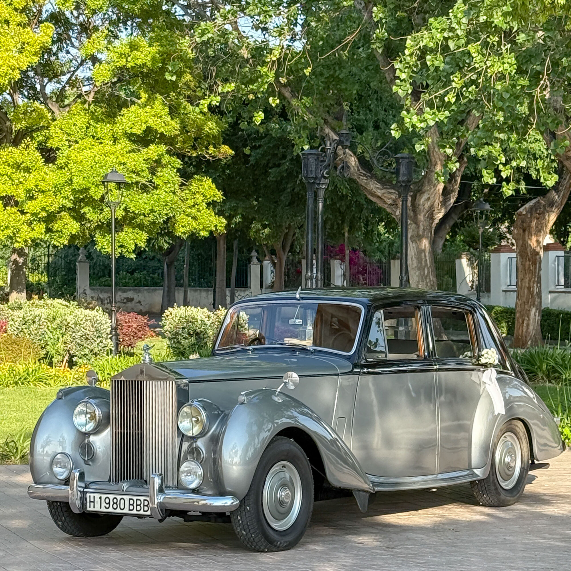 ESTUDIOGAMA2025-05-17-1013