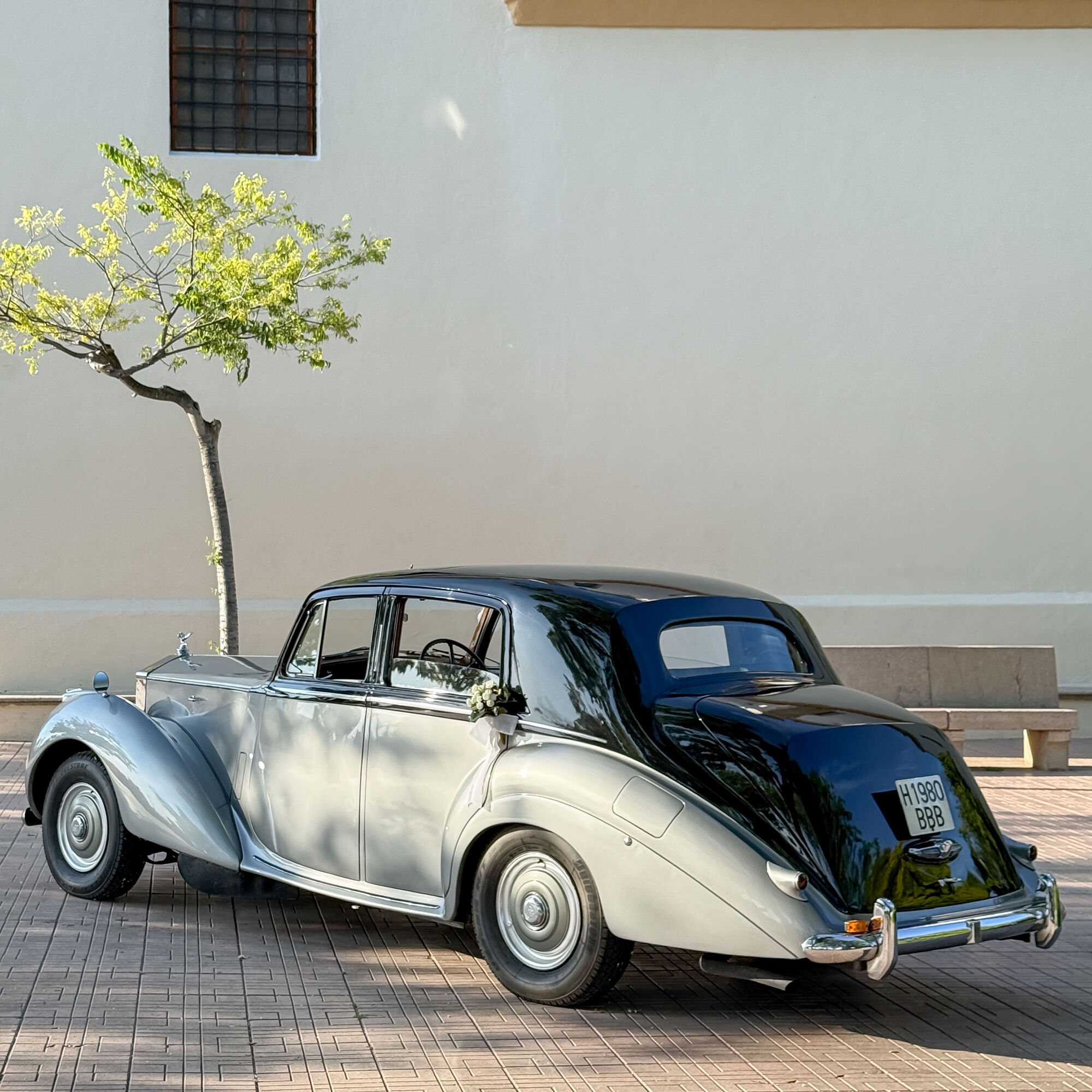 ESTUDIOGAMA2025-05-17-1015