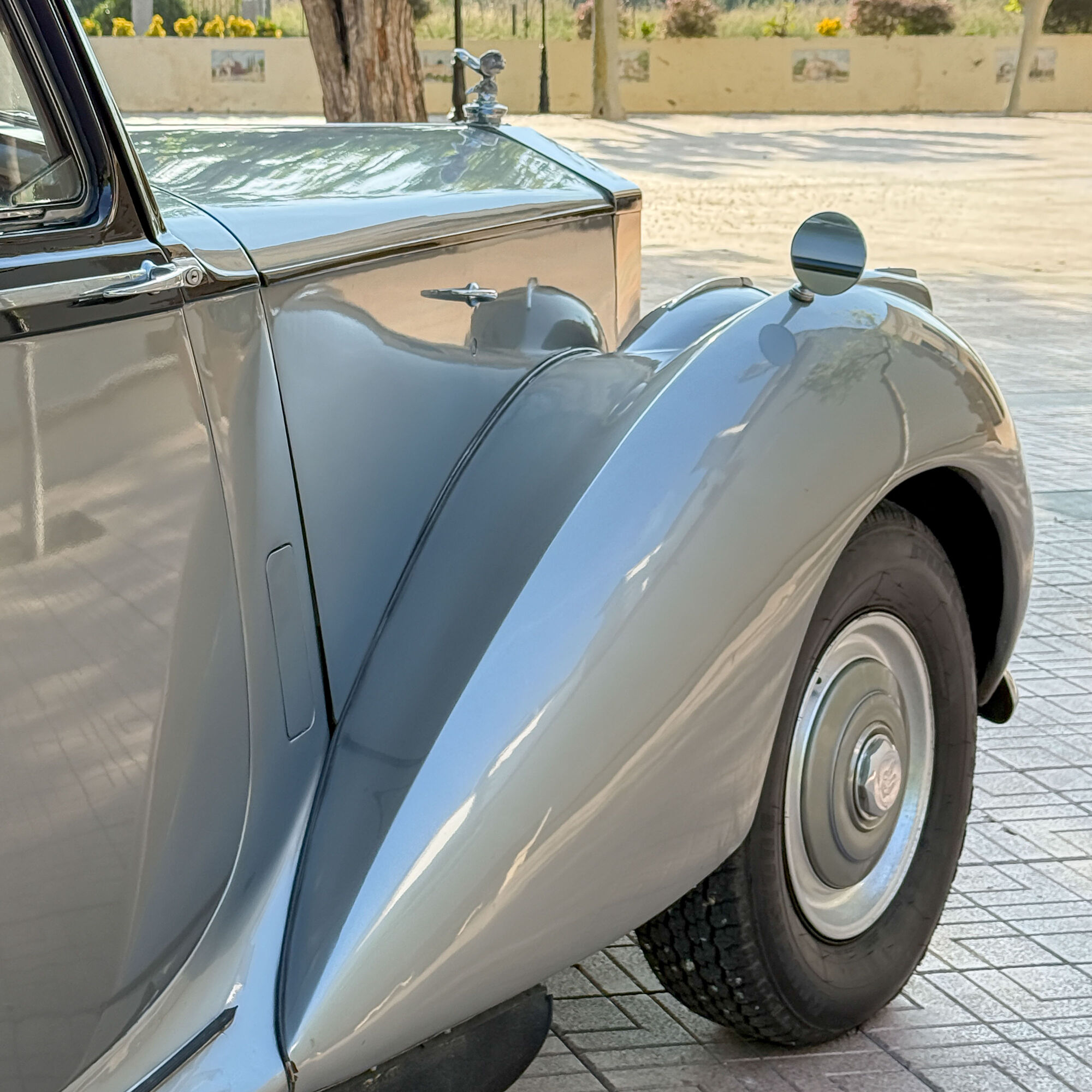 ESTUDIOGAMA2025-05-17-1017