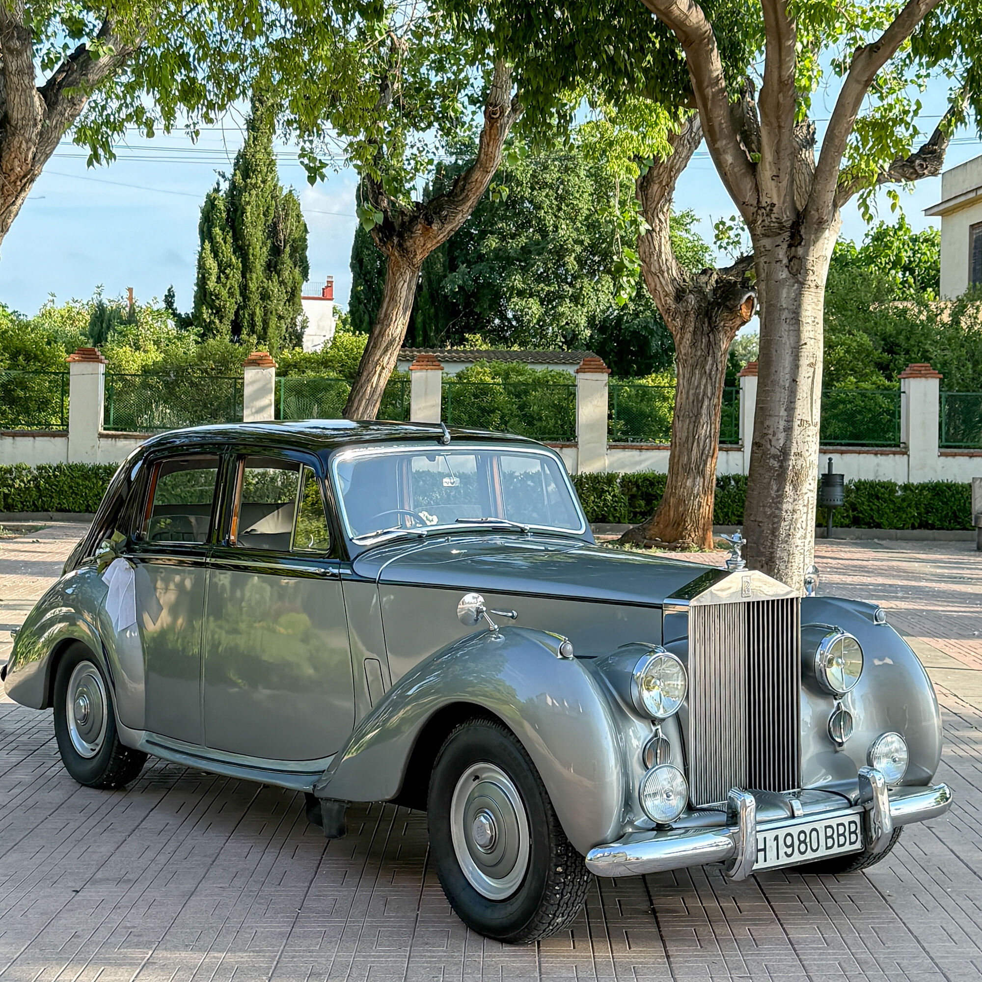 ESTUDIOGAMA2025-05-17-1018