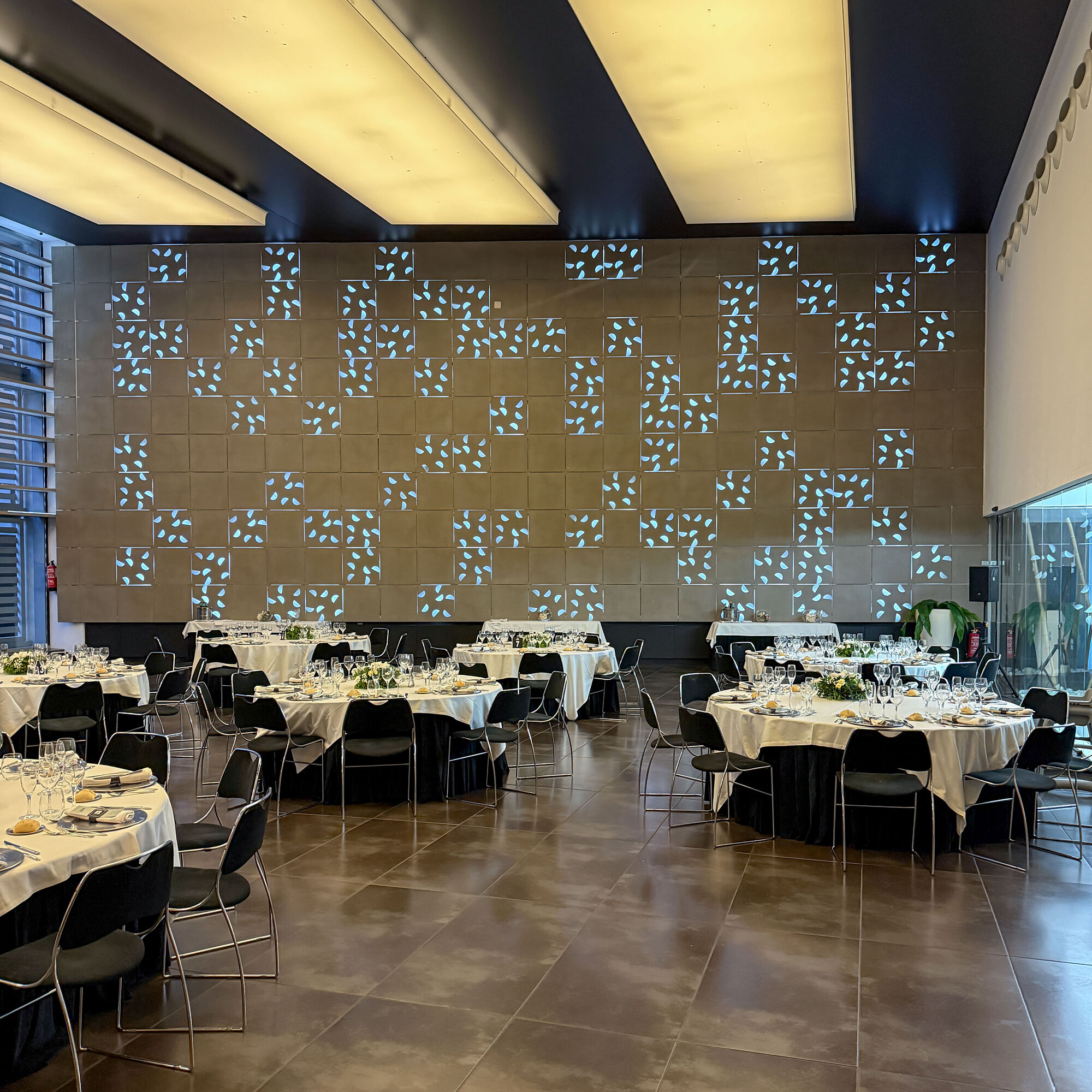 ESTUDIOGAMA2025-05-17-1026