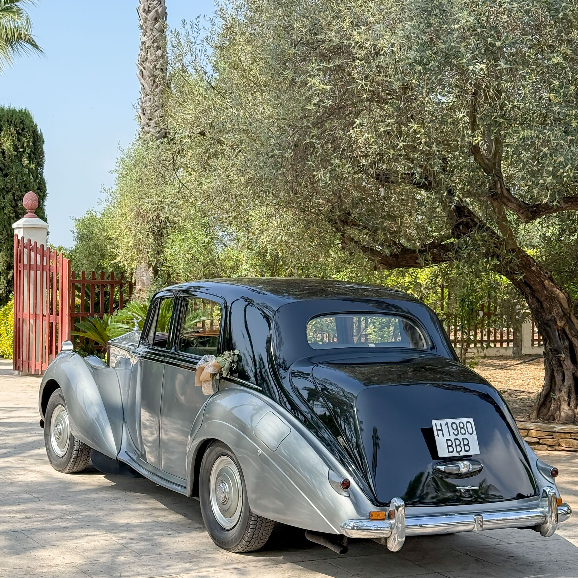 ESTUDIOGAMA2025-05-03-1002