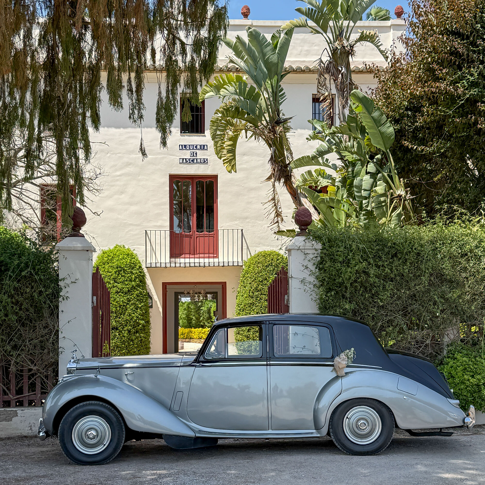 ESTUDIOGAMA2025-05-03-1023