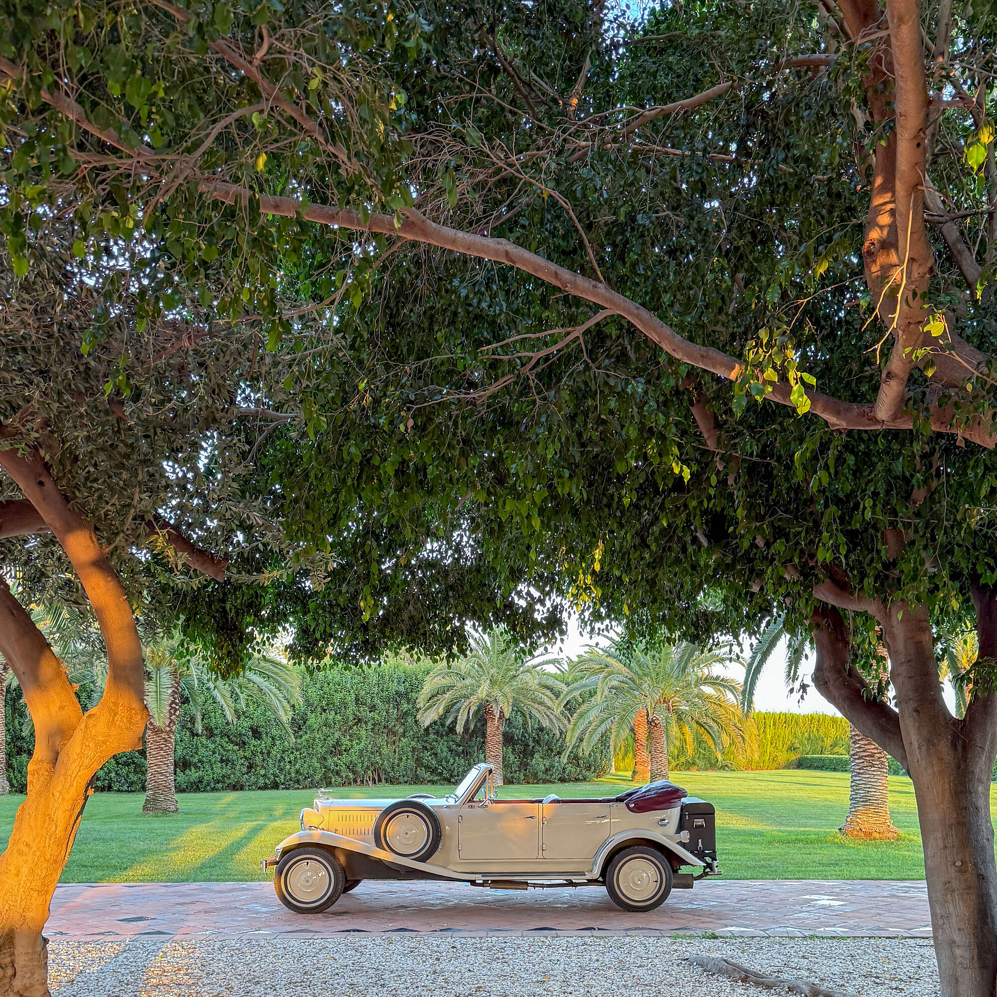 ESTUDIOGAMA2025-06-26-1015