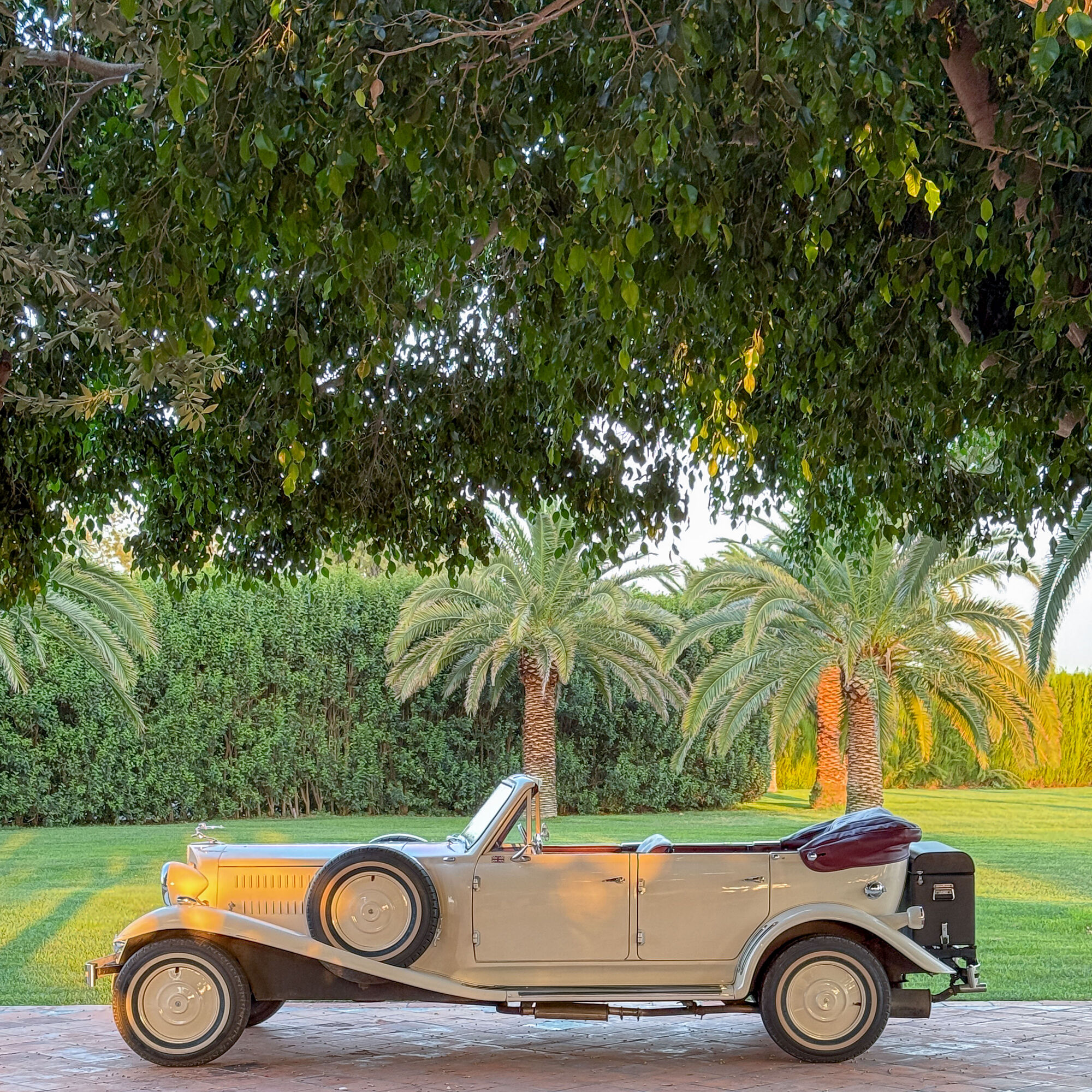 ESTUDIOGAMA2025-06-26-1016