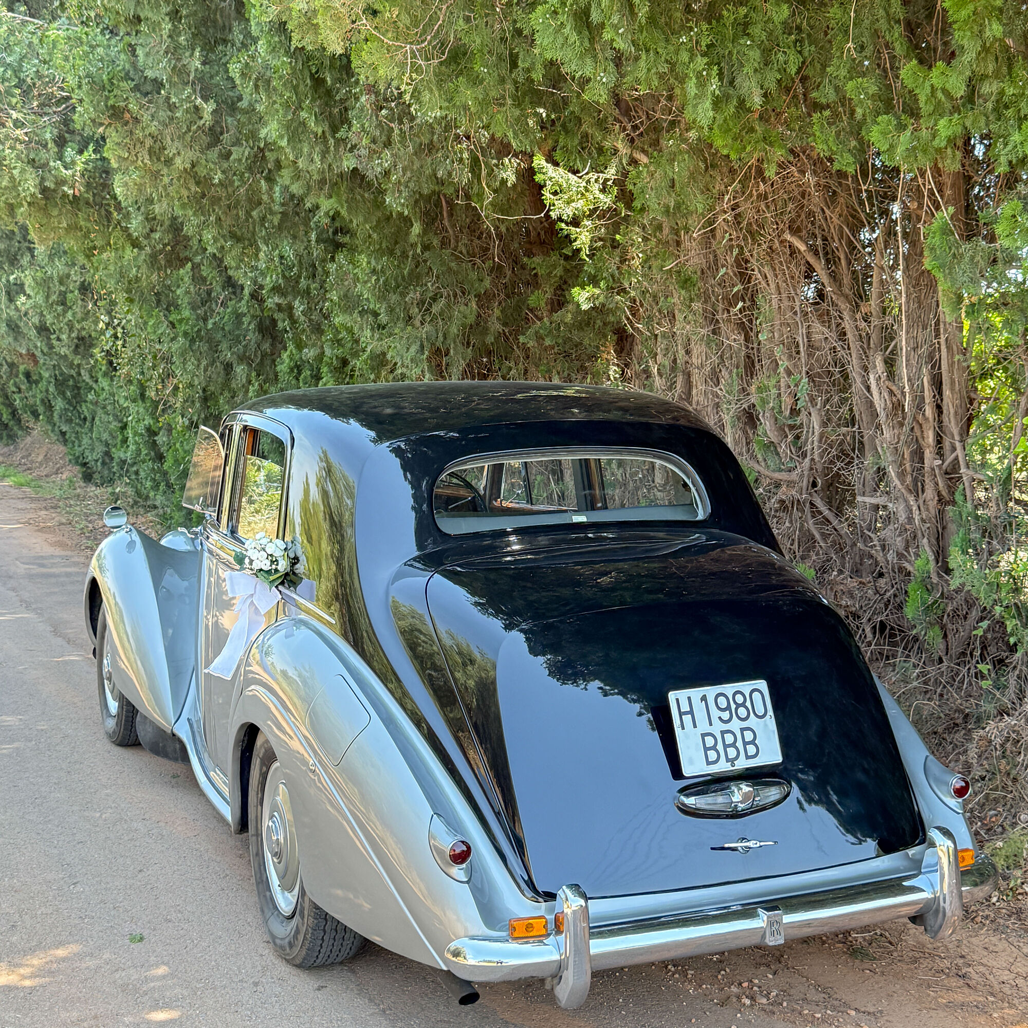 ESTUDIOGAMA2025-06-07-1013