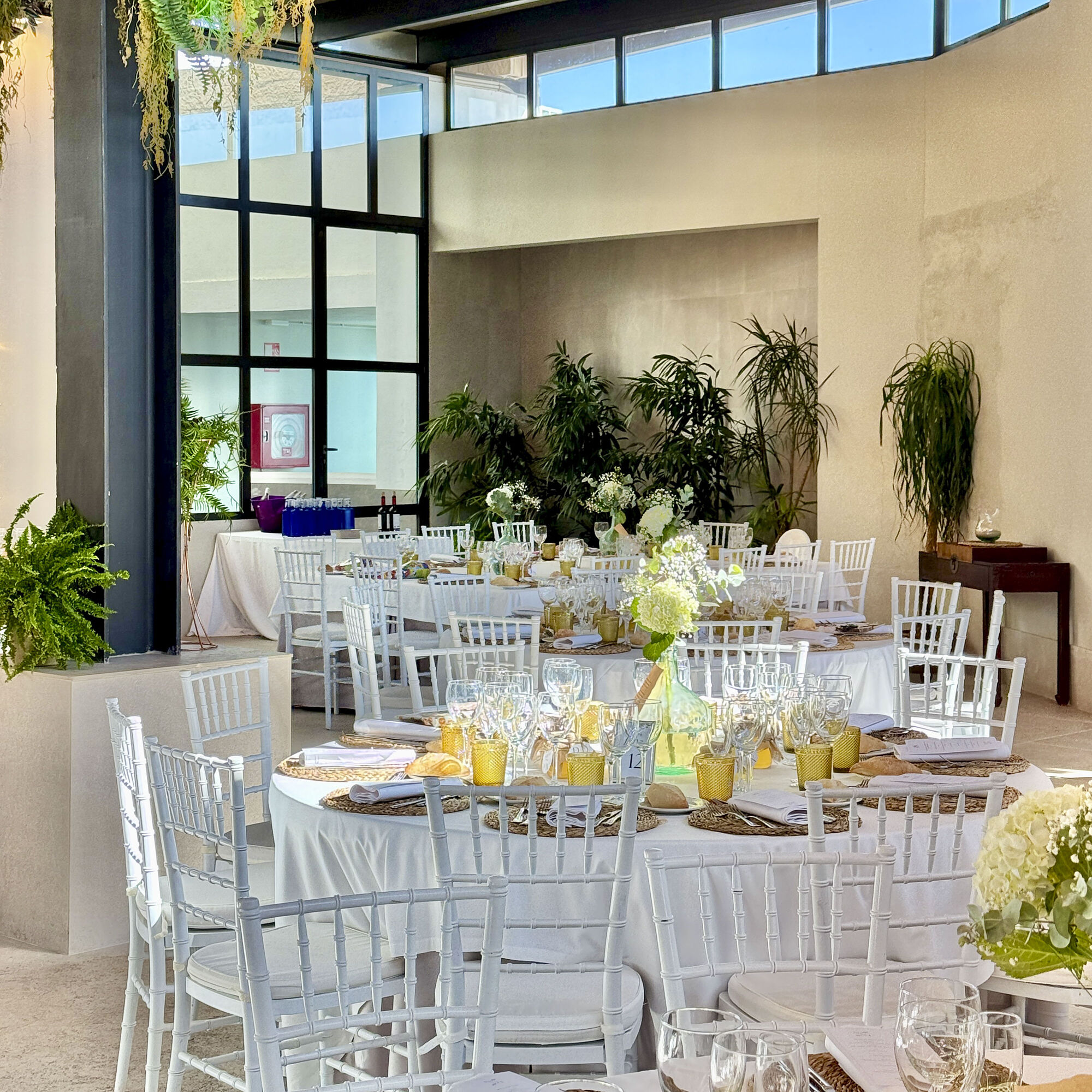 ESTUDIOGAMA24-10-27-1026