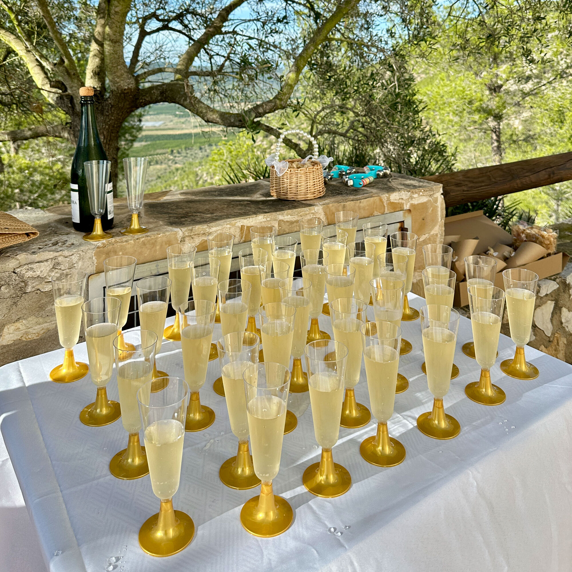 ESTUDIOGAMA2024-10-05-1006