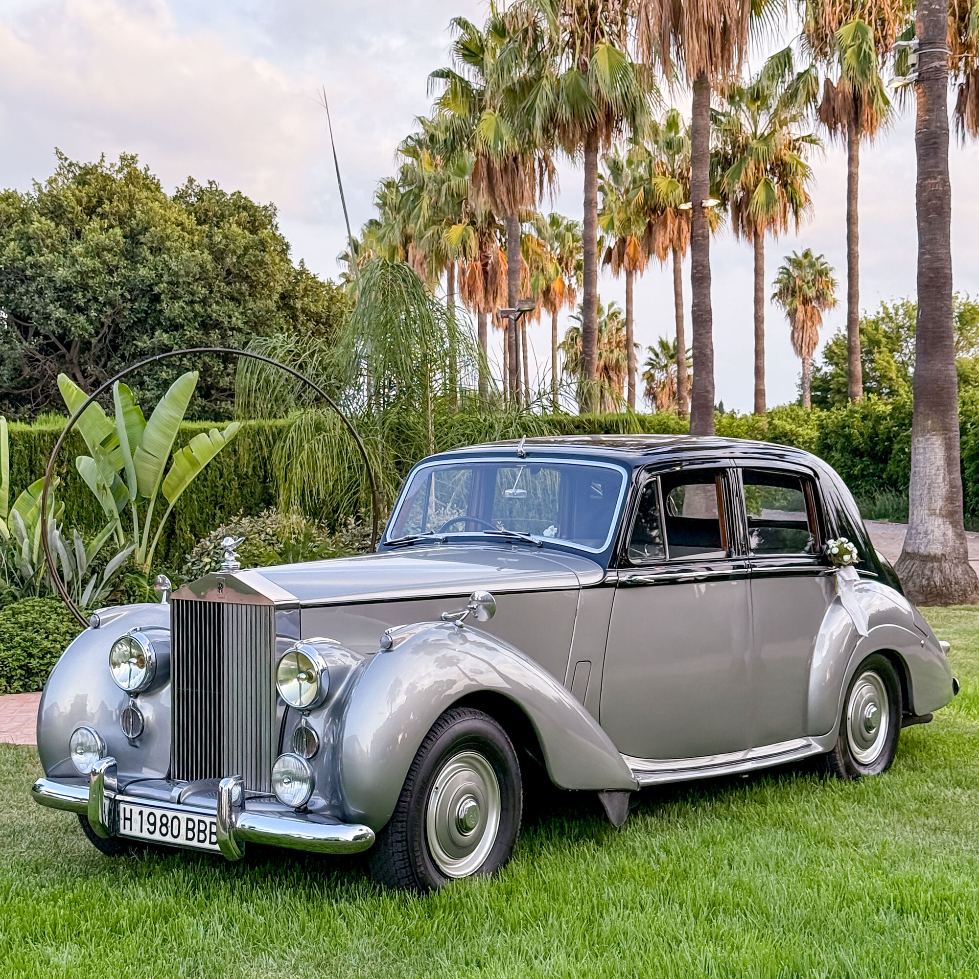 ESTUDIOGAMA2025-08-24-1011